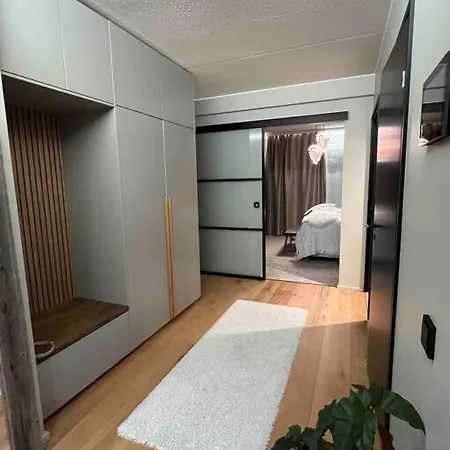 Unique Penthouse 罗瓦涅米